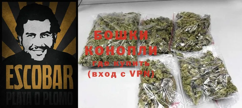 цена   Выборг  Каннабис White Widow 